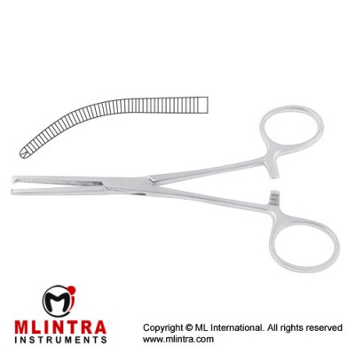 Ochsner-Kocher Haemostatic Forcep Curved - 1 x 2 Teeth Stainless Steel, 25.5 cm - 10" 